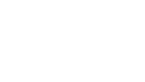Parceiro_2_mecânica